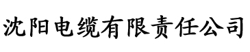 辣椒视频污电缆厂logo